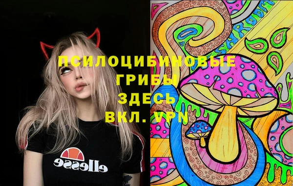 МДПВ Заводоуковск