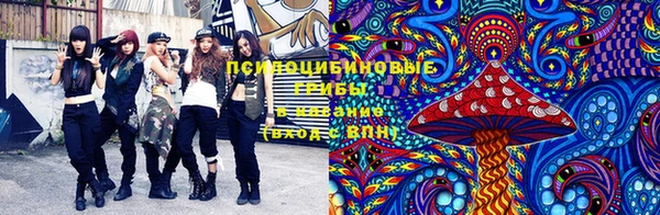 PSILOCYBIN Володарск