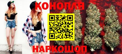 прущий лед Канаш
