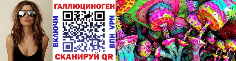 Галлюциногенные грибы Cubensis  мега вход  Назарово 
