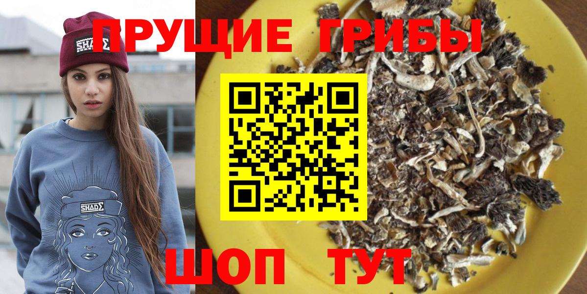 Галлюциногенные грибы MAGIC MUSHROOMS Назарово